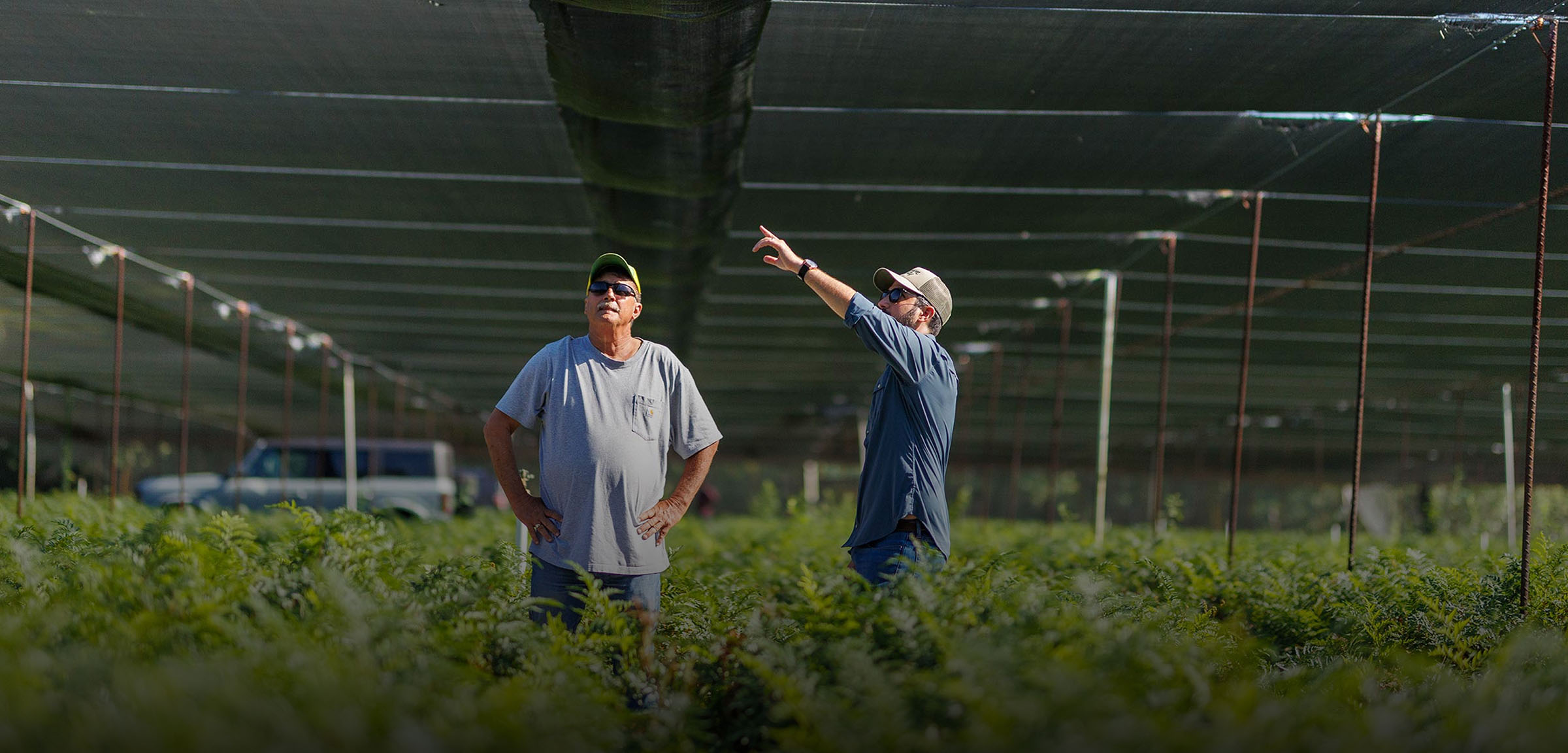 Two men inspecting shade structure installation over fern crop — Pierson Supply providing materials and builder support for growers