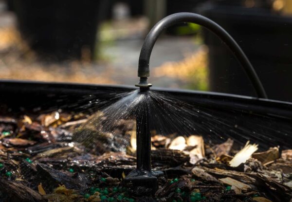 Close-up of micro sprinkler irrigating plants in nursery pot — Pierson Supply low-volume irrigation solutions for growers