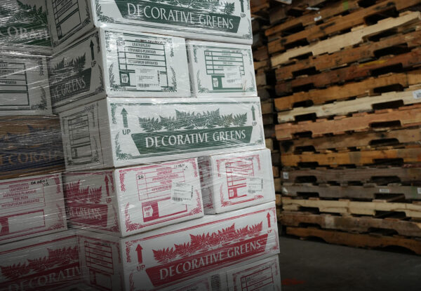 A pallet of boxed ferns wrapped in stretch wrap