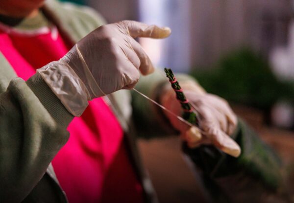 Worker using rubber bands to tie ferns