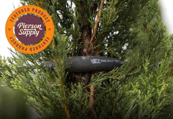 EZ Tree Wrap securing young tree trunk with gentle trellis support — featured Pierson Supply product for growers